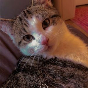 Meet your Posher, Delina